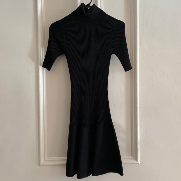 Fit & Flare Turtleneck Dress - Picture 4 of 6